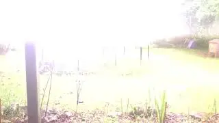 The Big Flash Thunder Strike In Dorrigo 