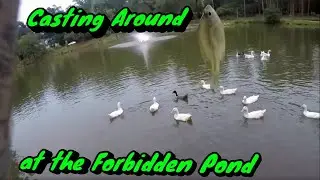 Fishing at the Forbidden Cater's Lake / No Fishing Allowed???