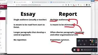What's the difference between an essay and a report?
