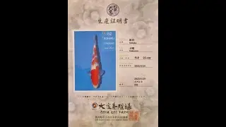Azukari Challenge Japan 2023