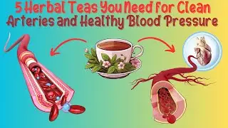 Five OUTSTANDING Herbal Teas to Clear Arteries and Lower Hypertension