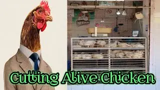 Cutting up a live Chicken l How to Butcher a chicken l Big Chicken Cutting l Live Chicken Cutting