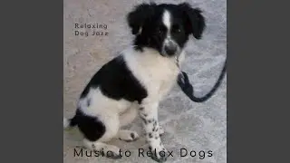 Relaxing Dog Jazz -4