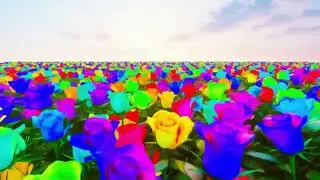 5 Hours psychedelic ambient roses field