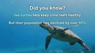 Did You Know This About the Ocean?