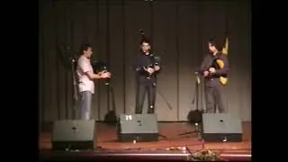 VERDE E DOURADO (Pedro Lamas)