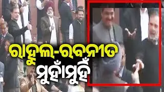 Rahul Gandhi Displays Unpublished Memoir of Ex-Army Chief Manoj Mukund Naravane Outside Parliament