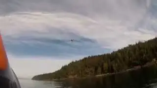 MikroKopter observes Killer Whales