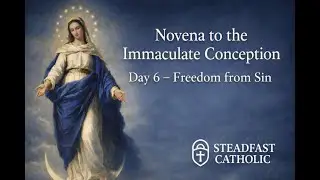 Novena to the Immaculate Conception &ndash; Day 6 | Freedom from Sin