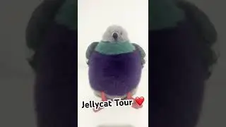 All my jellycats #music #trending #cute #jellycat go follow my other account @bethanyleopardstep9591