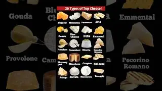 20 popular cheese name | Top 20 cheese name | worlds top cheese