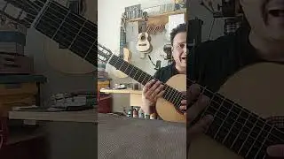 Violão 7 cordas de Aço: Luthier Elton Barbano 