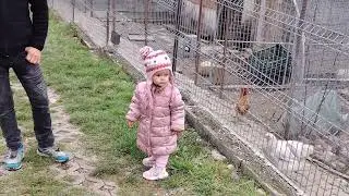 Doi Struți năzdrăvani sau înfometați 🤔