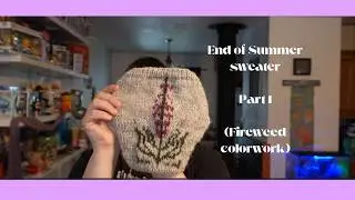 End of Summer Fireweed Sweater part 1