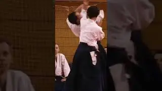Aikido, Ichiro Shibata 7 Dan, #aikido #kampfsport #martialarts #blackbelt #aikikai