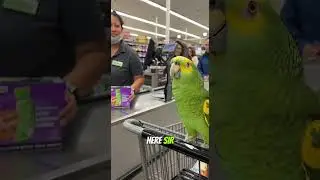 Parrot Roasts Cashier &mdash; &ldquo;I Brought Loyalty, Just Not the Card!&rdquo; 😂🦜🛒 | Real Supermarket Footage 2025