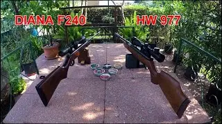 HW977 & DIANA | centro esplosivo  bersaglio dinamico | carabina aria compressa fieldtarget