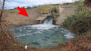 I Found a Hidden Spillway LOADED w/ Fish!