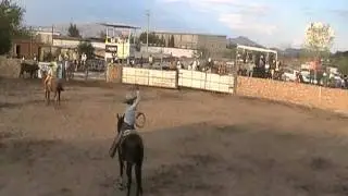 TERNA EN EL RUEDO CHARREADA DE LA INDEPENDENCIA 2011. CHIHUAHUA. www.caballo.tv