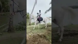 evening riding class # 3 year baby girl horse riding # white horse#Adhis vlog🦄❤
