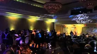 Eliminator Lighting 