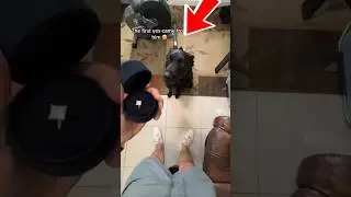 This Proposal Needed Dog Approval 🐶💍 #shorts