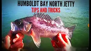 HOW TO CATCH FISH OFF THE ROCKS: TIPS AND TRICKS, HUMBOLDT BAY NORTH JETTY, ROCKFISH