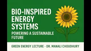 Bio-Inspired Energy Systems&mdash;Learning Renewable Power from Nature: Powering a Sustainable Future
