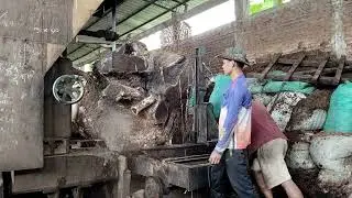 Splitting a Giant Log Worth Tens of Thousands of Dollars 