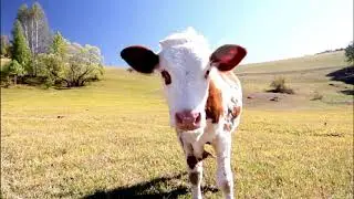 North Dakota - A Feel Good Kinda Place.
