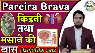 Pairera Brava Homoeopathic medicine || किडनी तथा मसाने की खास होम्योपैथिक दवाई|| प्रोस्टेट ग्रंथी