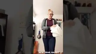Rabbit running gear