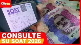 As&iacute; puede consultar el precio exacto del SOAT 2026 en minutos | City Noticias Medio D&iacute;a