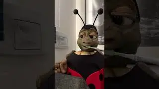 Ich bin nicht langsam &ndash; ich bin nur gr&uuml;ndlich. 🪥 🐢