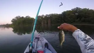 Stealth Kayak Fishing Mastering Jim Edgar Panther Creek Fish And Wild Life Area's  Clear Waters