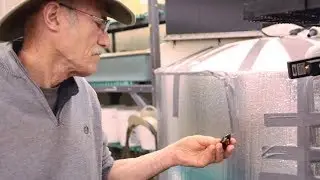Jay Levine: Understanding and Protecting Mussels