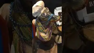 Gallier's Restaurant & Oyster Bar Alligator chef in downtown New Orleans