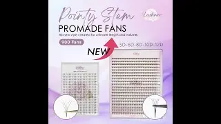 Lashmer Ultra Dark Pointy Narrow Fans