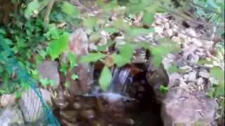 Best Secret Garden of Los Angeles