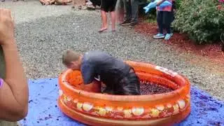 Grape Stomp 2017