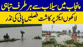 Punjab Under Water: Floods Destroy Crops on Lakh of Acres | Dawn News