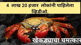 खेकडा निसर्गातील एक चमत्कार.khekada.marathi discovery.