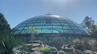 🐘🦓 NC Zoo Fun Day part 2 🦘🦜