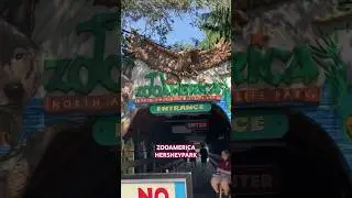 Highlights of ZooAmerica at Hersheypark! 🤩🍫 #hersheypark #zoo #zooamerica #themepark