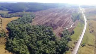 FAZENDA ESTRELA   CAP&Atilde;O ALTO  SC