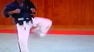 Hashakuken sandan