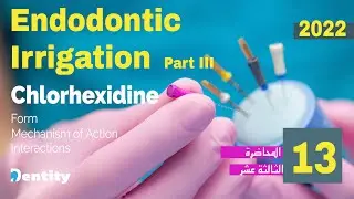Endodontic irrigation | Chlorhexidine | المحاضرة 13 في علاج العصب