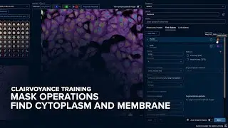 Mask Operations: Find Cytoplasm and Membrane | Clairvoyance