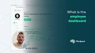 Mindpool | What is the employee dashboard