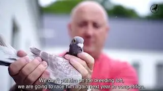 PIPA TV: Marc De Cock (BE)